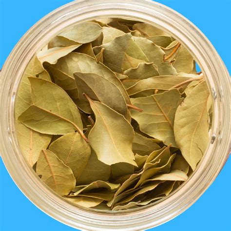 bay leaf express blackhall.